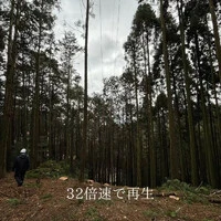 画像237