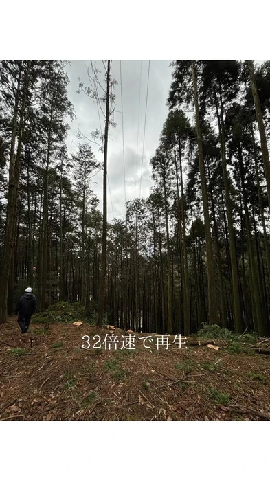 画像237