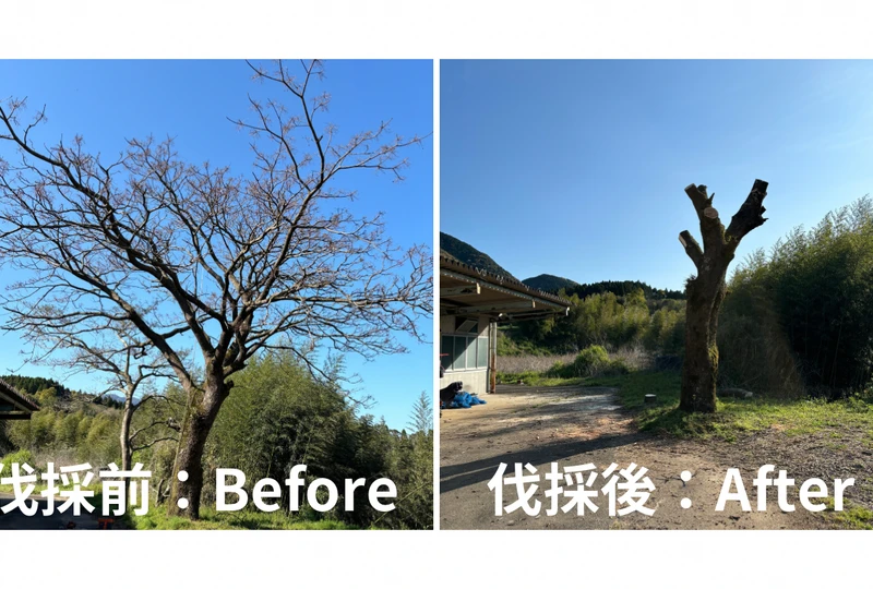 EF2006D8-7F45-48D2-9DCA-CBBAB7308096