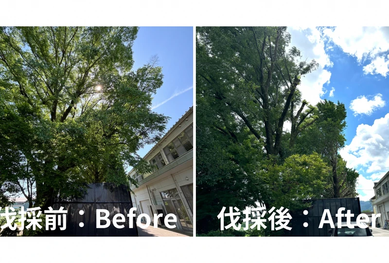2枚の画像のギャラリー ウェブサイト 5
