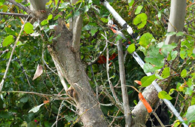 川南町の特殊伐採！庭木を伐採して害虫対策はHUSTLERにお任せ