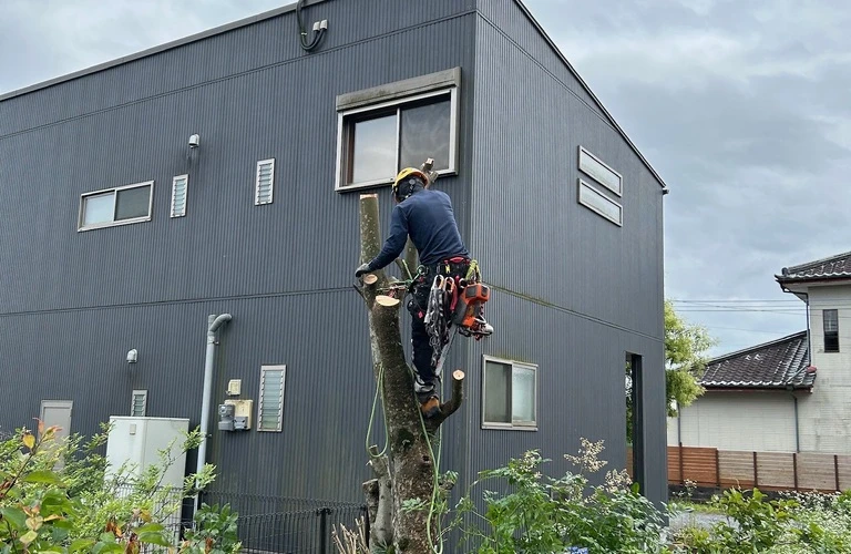 日之影町の高所伐採はHUSTLERにお任せ！