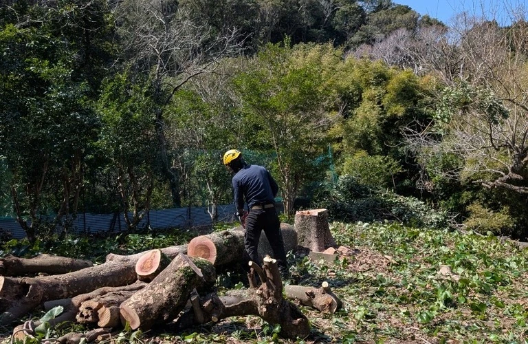 倒木処理はHUSTLERにお任せ！北郷町の安全を守ります！