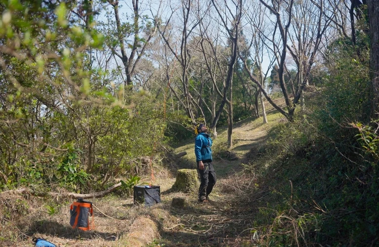 南郷村の大きな木の伐採はHUSTLERにお任せください！