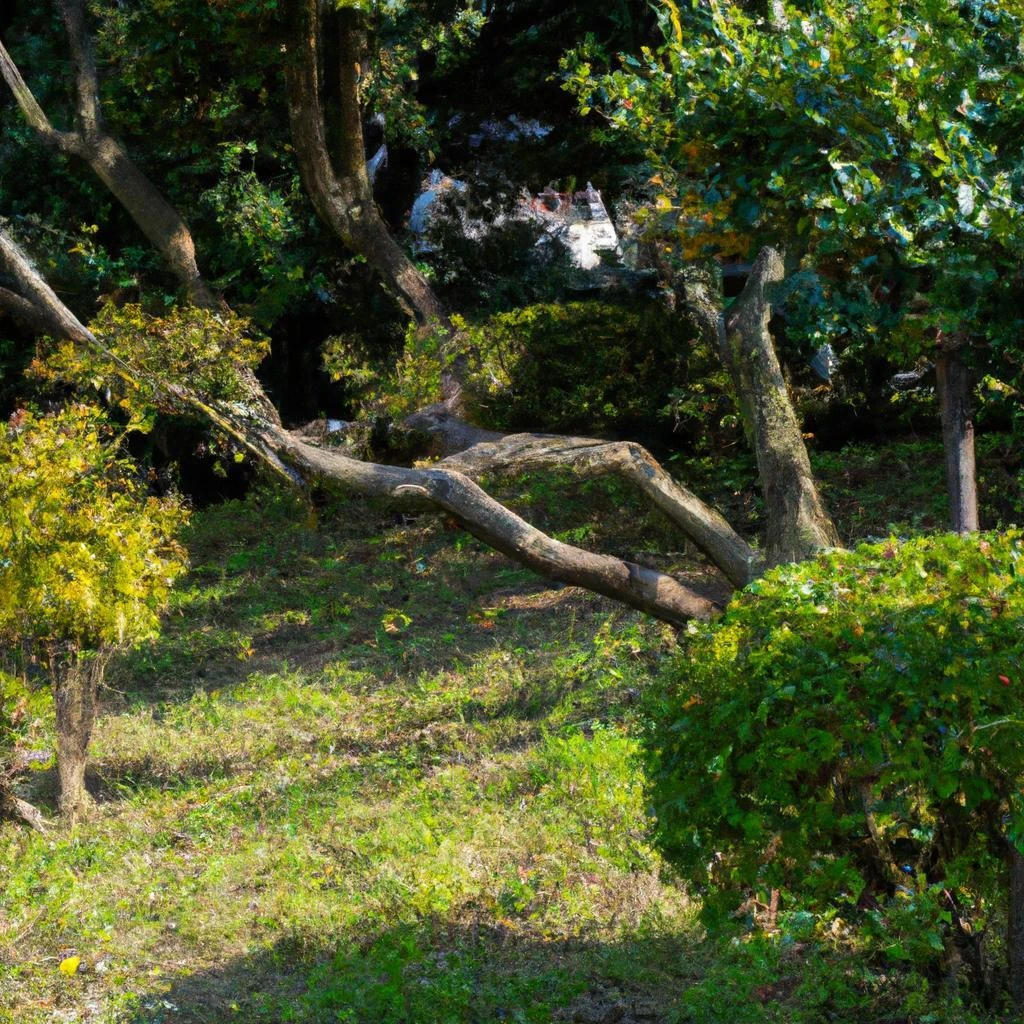 北方町の高木剪定の必要性