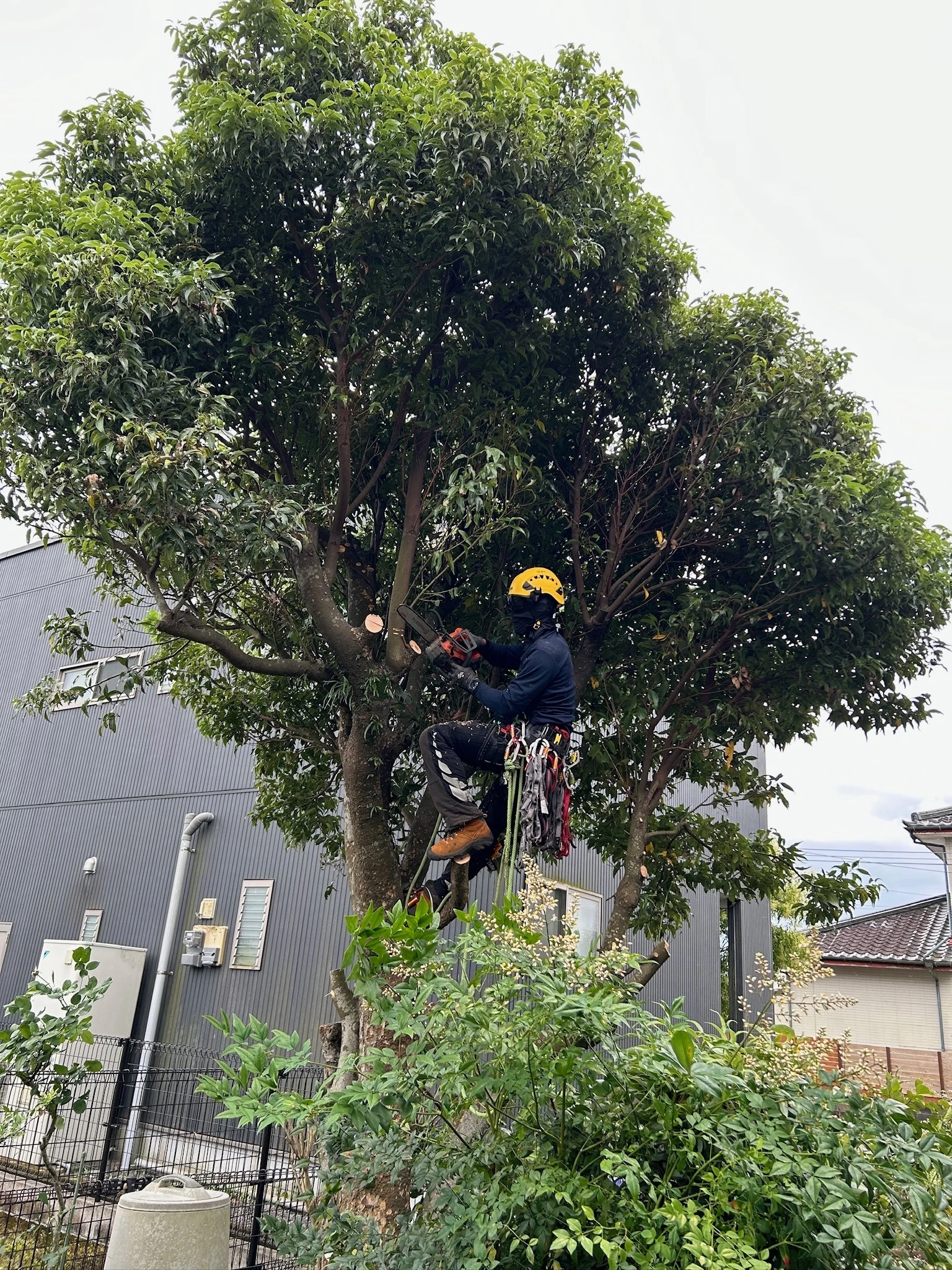 北方町の庭の手入れはHUSTLERにお任せください！