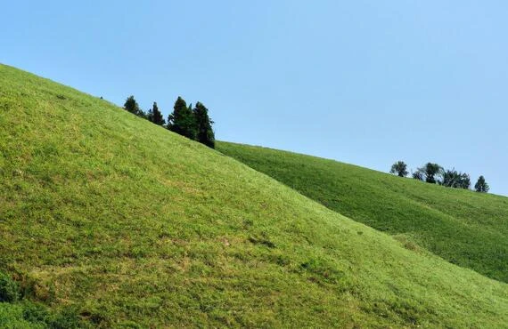 舩塚の裏山を美しく整備しませんか？