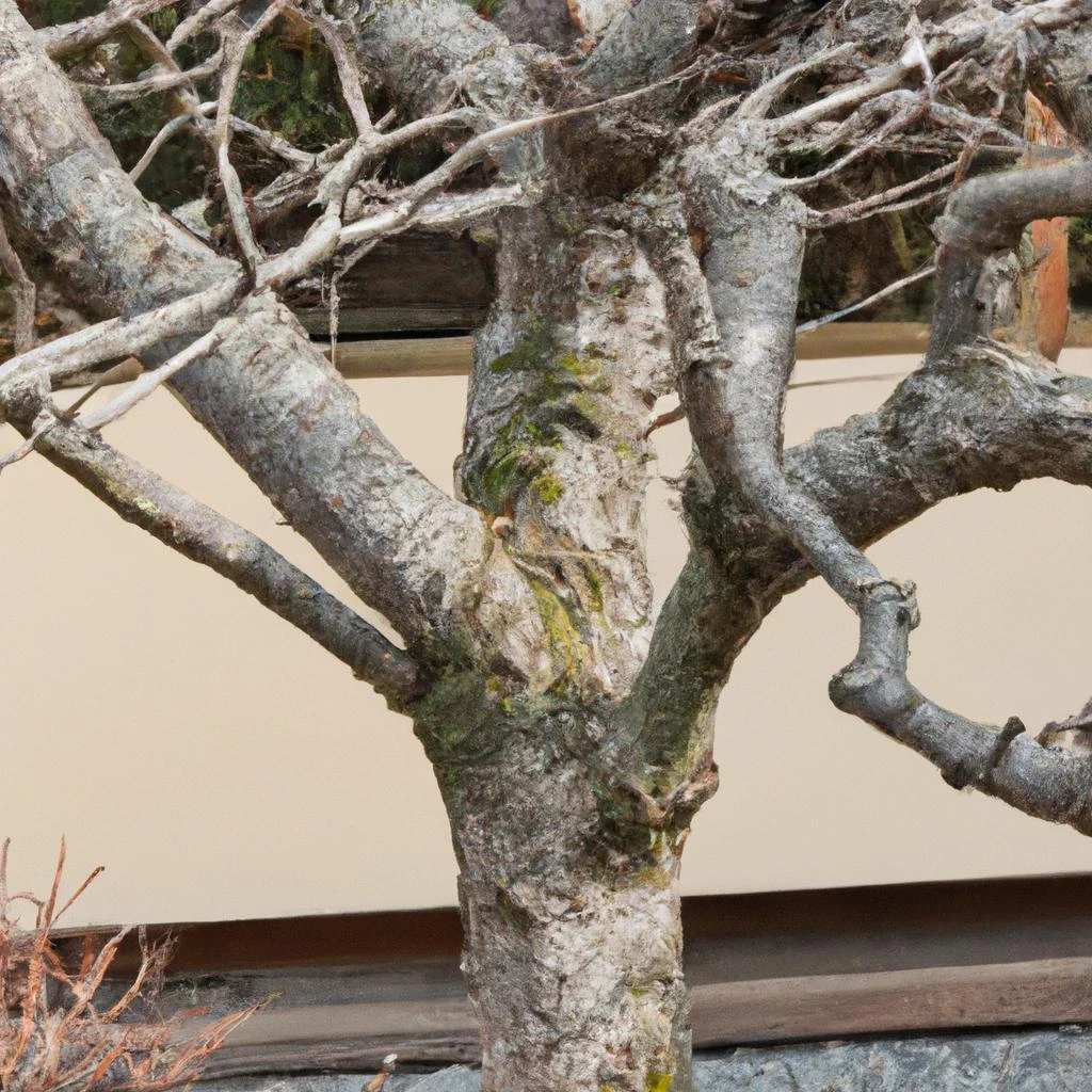 祇園の庭木を守る！安全な伐採で害虫対策を進めましょう！