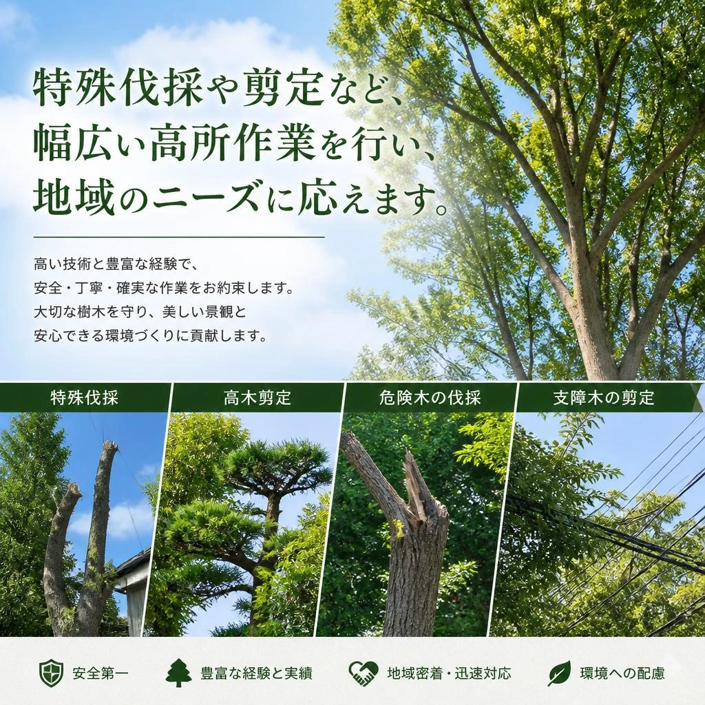 私たちのサービスを紹介します